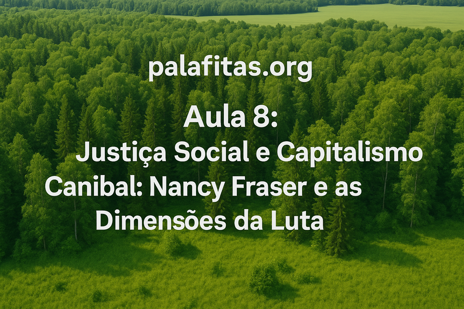Aula 8: Justiça Social e Capitalismo Canibal: Nancy Fraser e as Dimensões da Luta